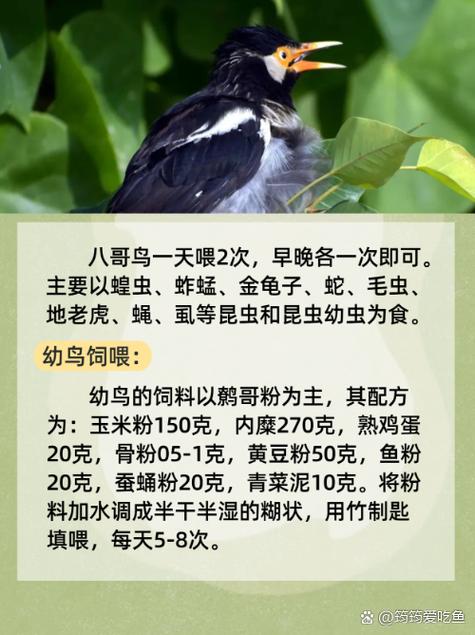 小科科视频app大全免费下载的相关介绍