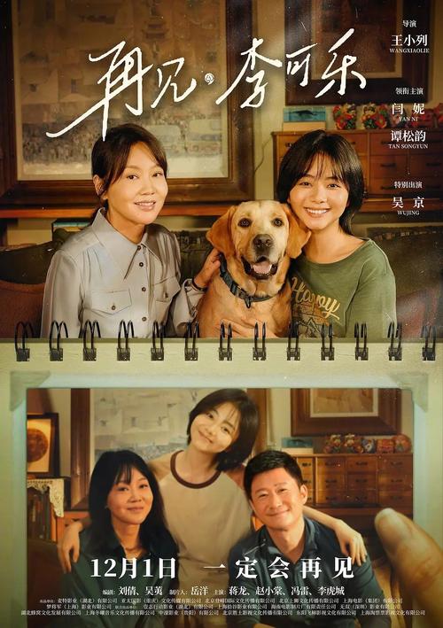 中卫电影院的相关介绍