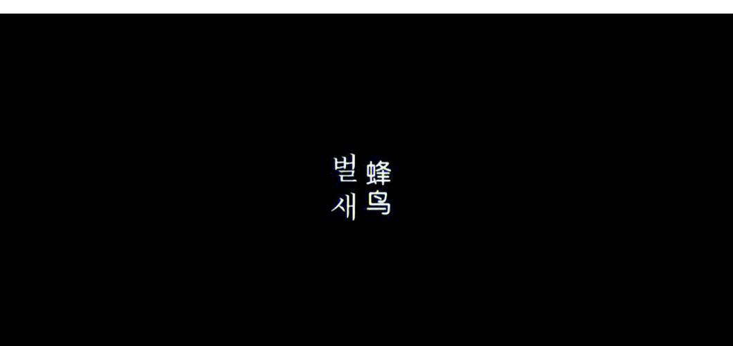 迅播影院的相关介绍
