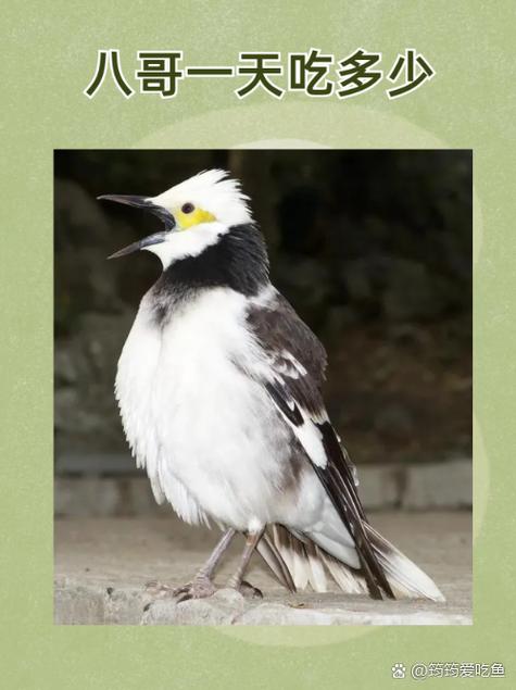 老师跟学生啪啪啪的相关介绍