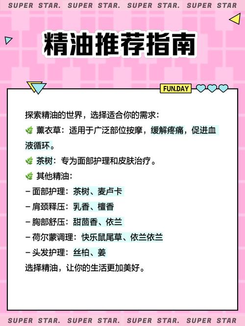 老司机精品视频97影院的相关介绍