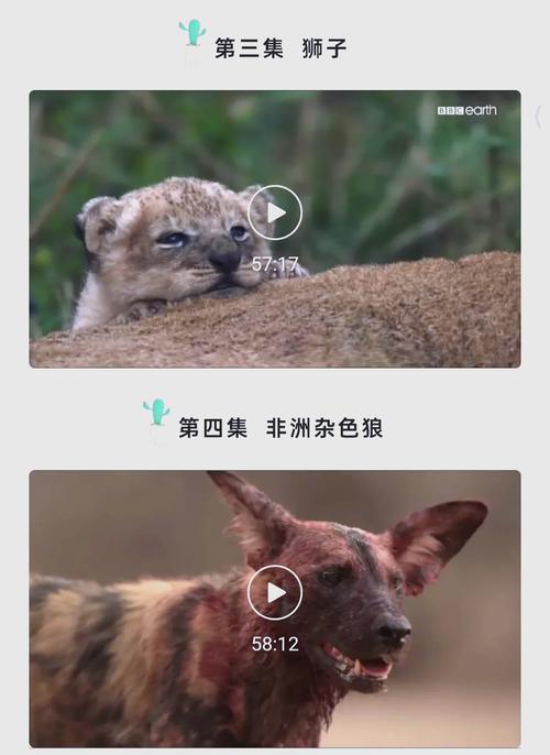 网站入口18禁的相关介绍