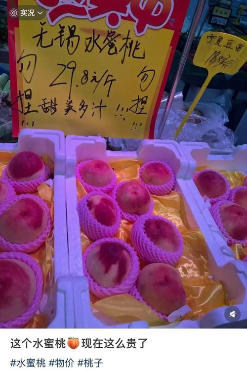欧美成人杂乱在线的相关介绍