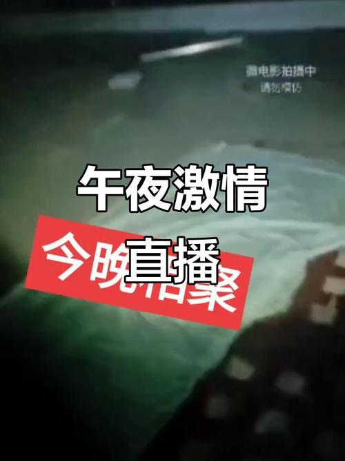 国产精品骚p的相关介绍
