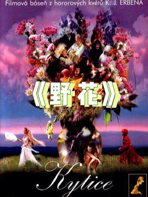 男女一边脱一边亲一边摸的相关介绍