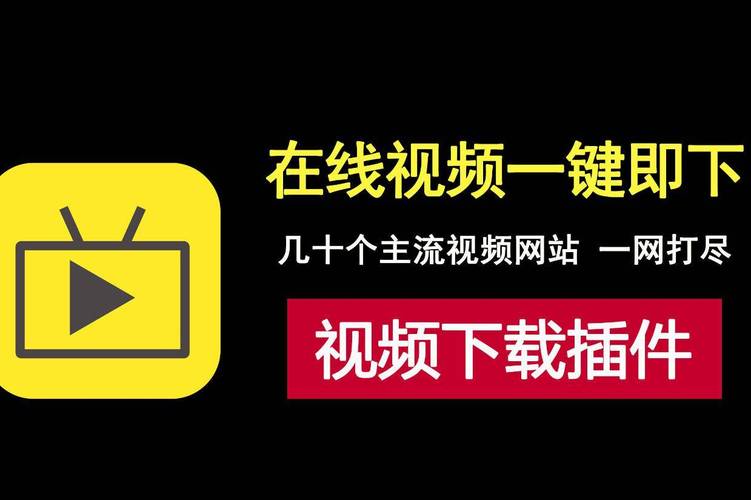 飘花电影院午夜伦的相关介绍