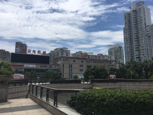 q毛片的相关介绍