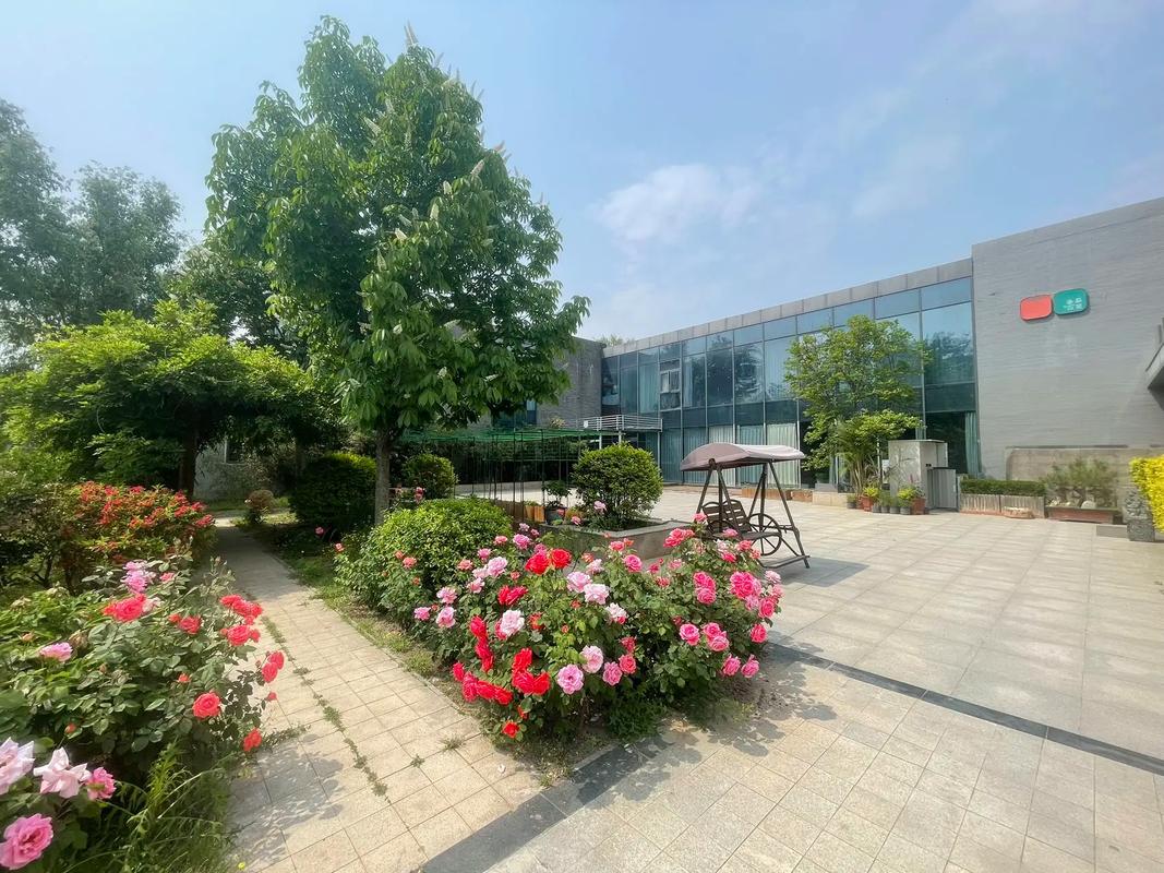 日本 女大学生 精油按摩的相关介绍