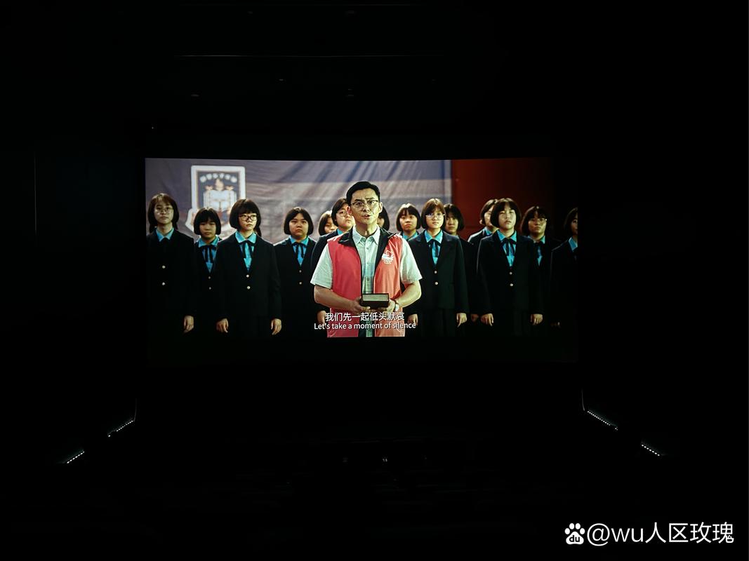 西瓜影院网的相关介绍