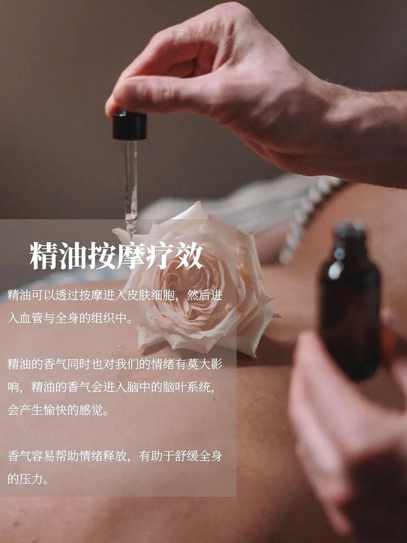 亚洲欧美在线人妻的相关介绍