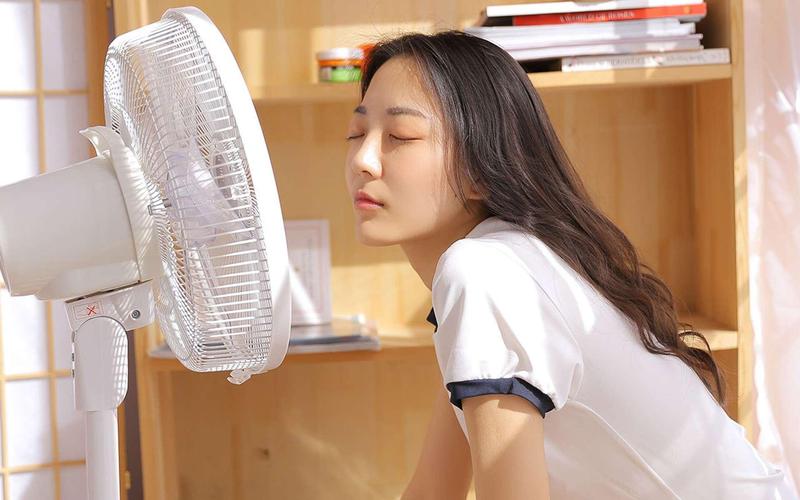 久久久久久三级黄色片的相关介绍