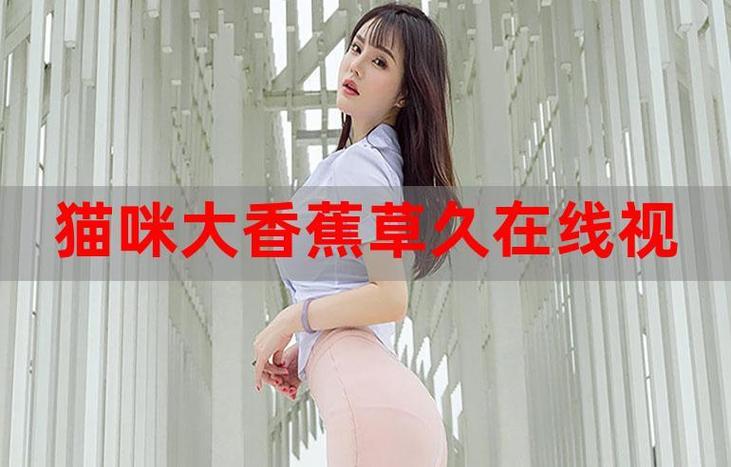 欲求不满搭讪中出美妇人妻的相关介绍