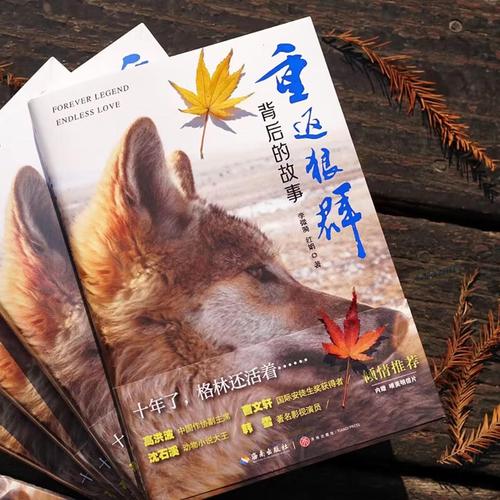 亚洲少妇23p的相关介绍