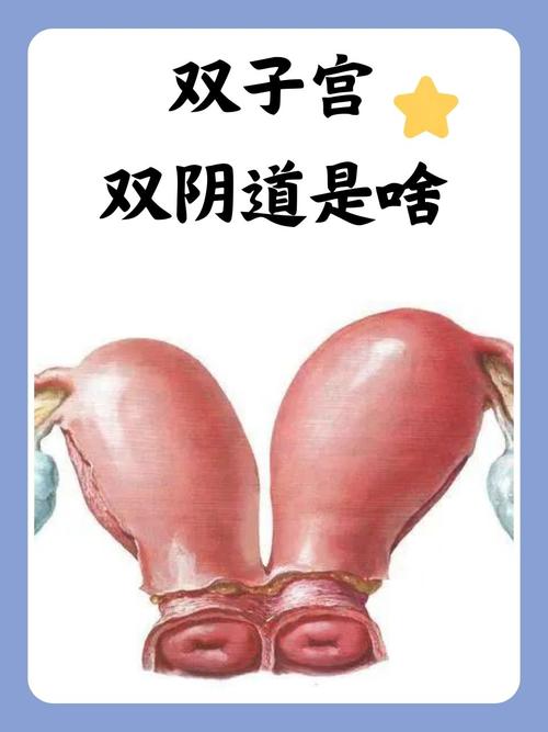 人妻熟女亚洲专区欧美专区的相关介绍