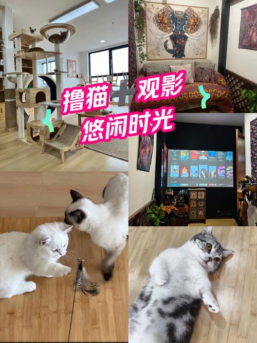 风吹半夏策驰影院免费的相关介绍