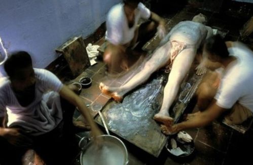 车震处女警花的相关介绍