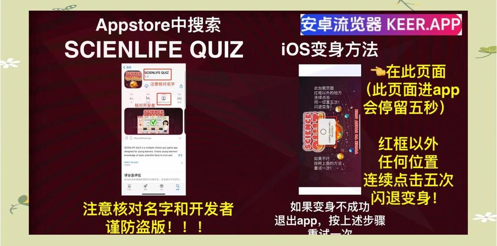 黑木耳影院的相关介绍