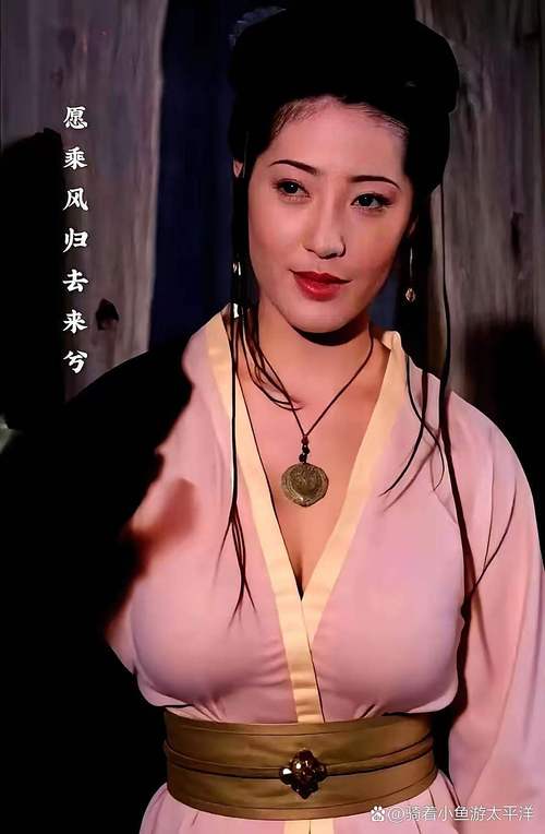 公交肉小说的相关介绍