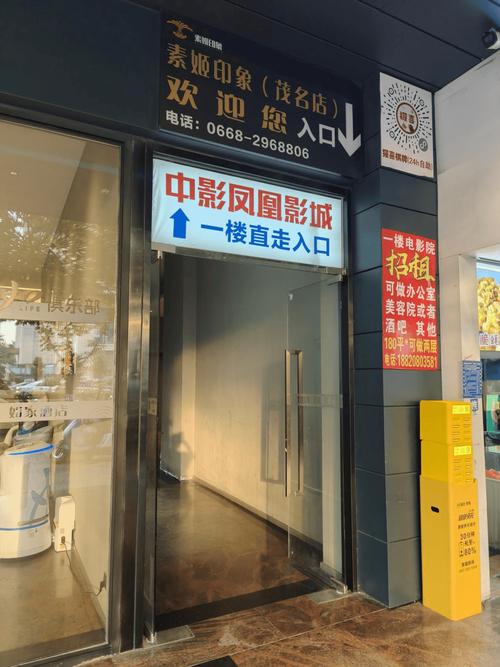 爱爱成人日b影院的相关介绍