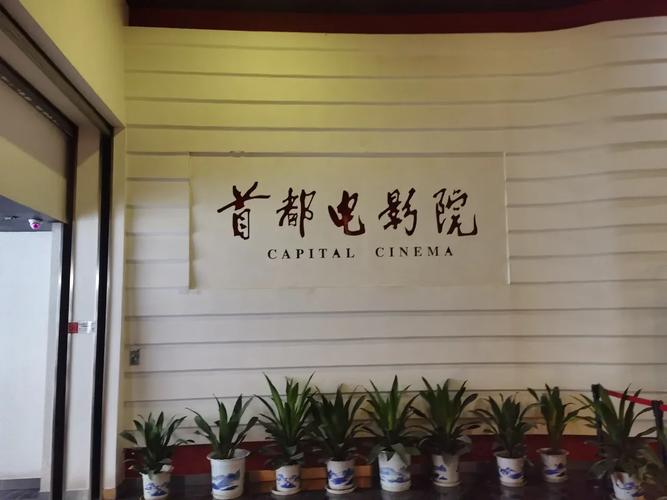 按摩精油av的相关介绍