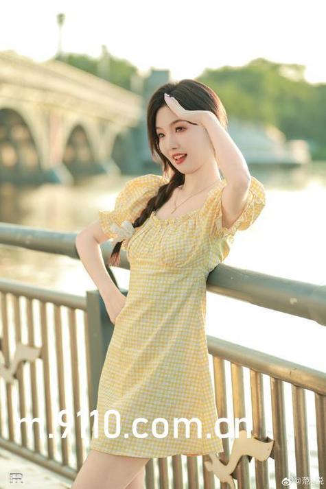 欧美成人dv在线的相关介绍