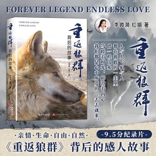 双性调教骚货嗯啊不要的相关介绍