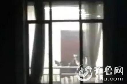国产欧美一区二区竹菊的相关介绍