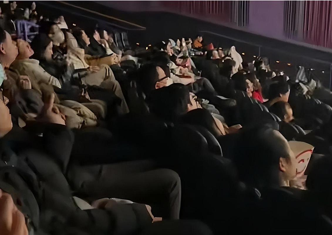 免费久久激情片的相关介绍