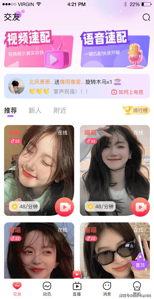 男女调教文高h的相关介绍