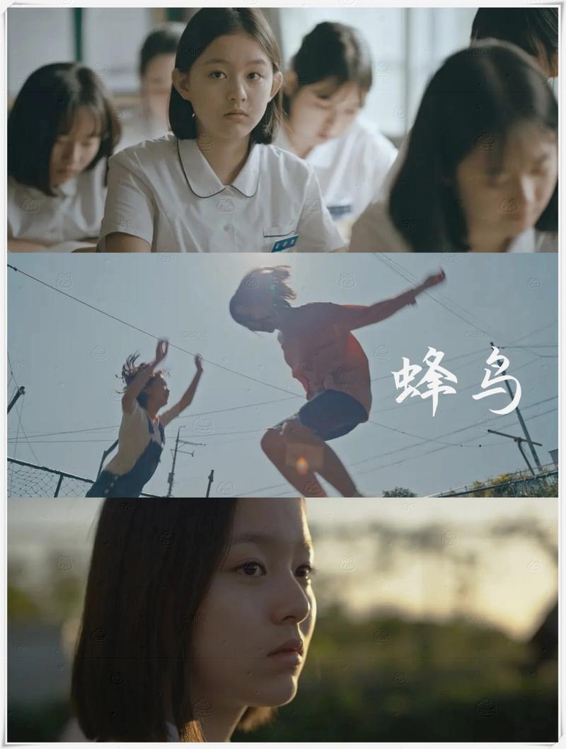 欧美老熟妇xx的相关介绍