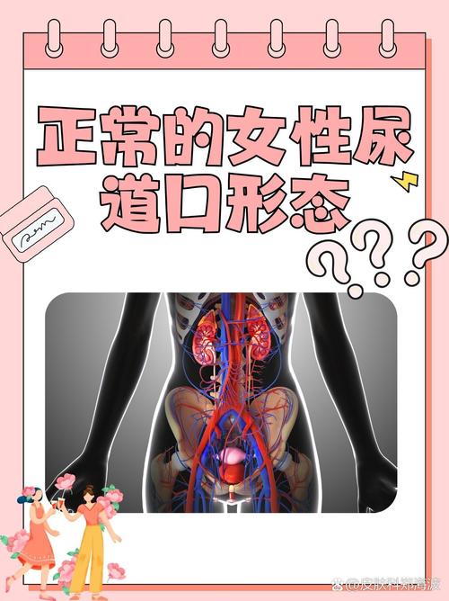 美女性呻吟的相关介绍