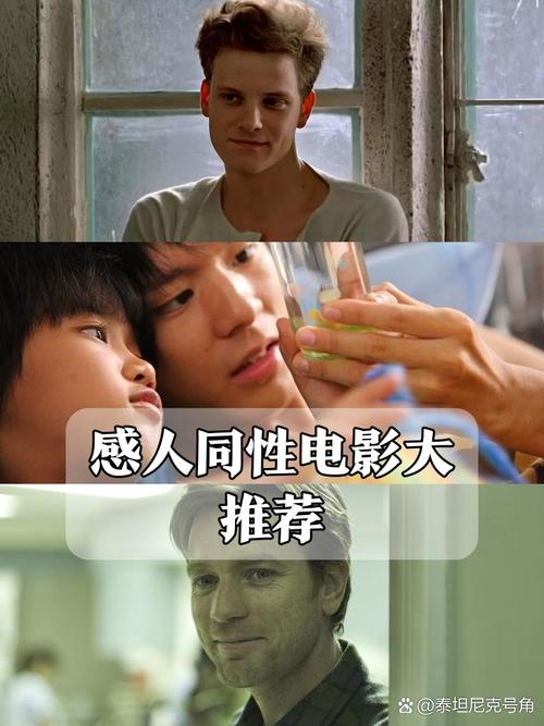 日本有个叫什么波的的相关介绍