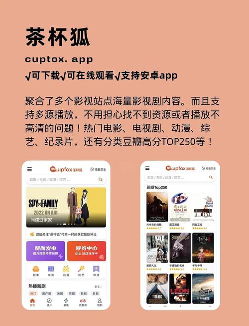 少妇 2的相关介绍